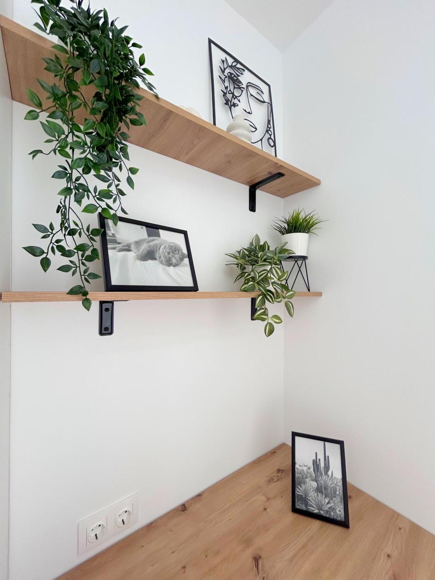 Appartement The First House Timişoara